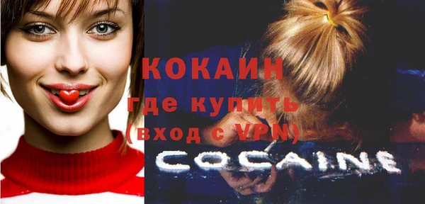 дживик Алексин
