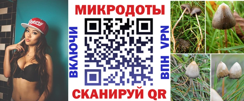 Галлюциногенные грибы GOLDEN TEACHER Собинка